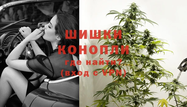 гашик Покров