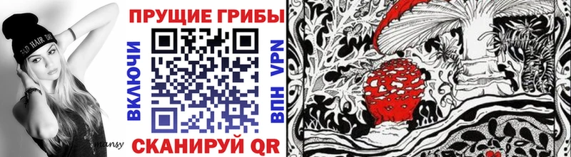 Псилоцибиновые грибы мухоморы Димитровград