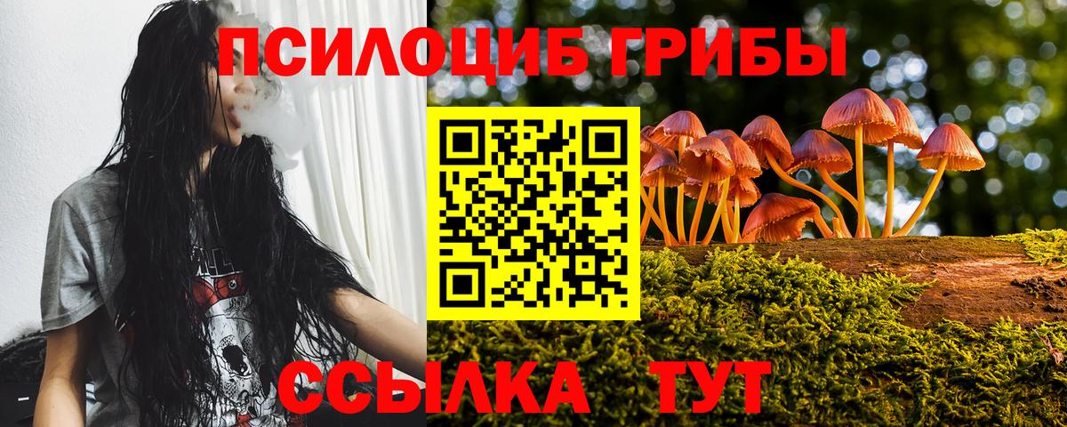 Димитровград  Галлюциногенные грибы мицелий  Вход с VPN 