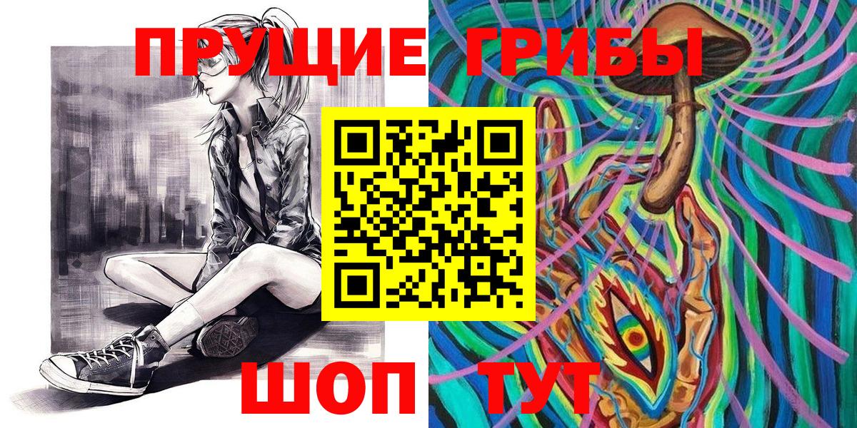 Псилоцибиновые грибы GOLDEN TEACHER Димитровград