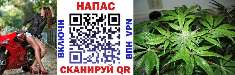 Шишки марихуана Ganja Димитровград